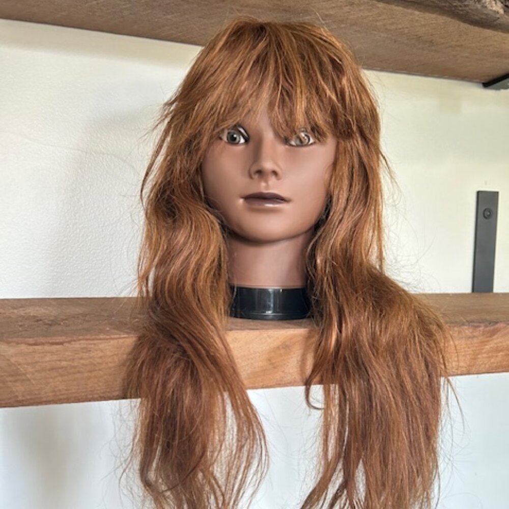 MISSMIZZ Long Brown Wig with Bangs